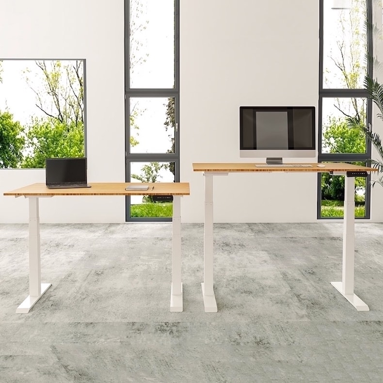 Are Standing Desks Worth It? Benefits, Explained