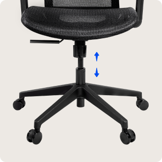 Flexispot BS1B Back Support office chair review