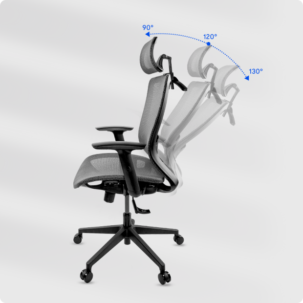 FlexiSpot Oc3b Ergonomic Executive Swivel Height Adjustable Seat Office Chair