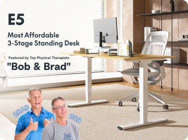 E5 Electric Height Adjustable Standing Desk | FlexiSpot US