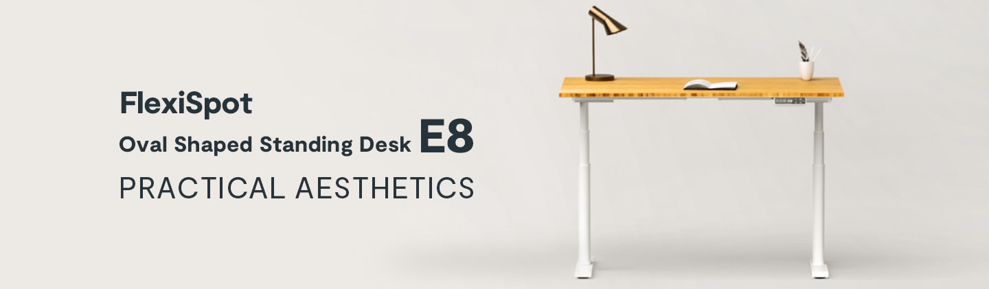 Electric Height Adjustable Standing Desk: Dual Motor Economical