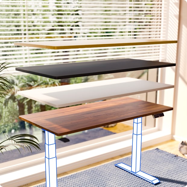 Electric Height Adjustable Standing Desk: Dual Motor Economical