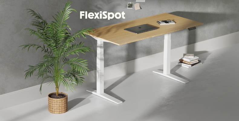 Flexispot E7 Height Adjustable Standing Desk Review