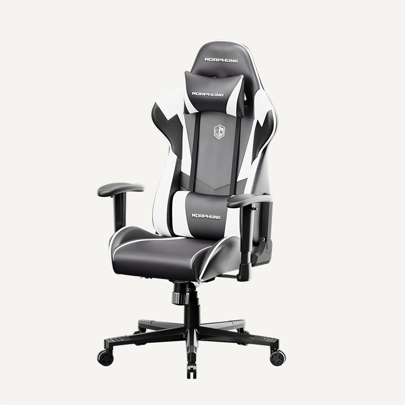 Flexispot Ergonomic Gaming Chair with Retractable Footrest Ri3476 –  standingdesklife