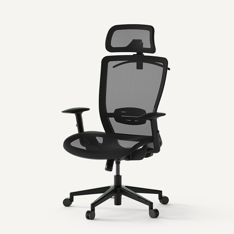 Soutien Ergonomic Office Chair OC10B/OC10G