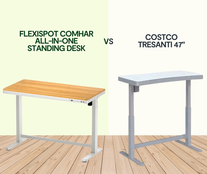 Costco ergo desk hot sale