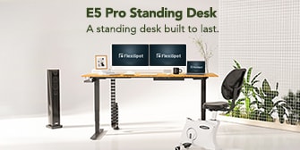 Pro Standing Desk E5 Frame only