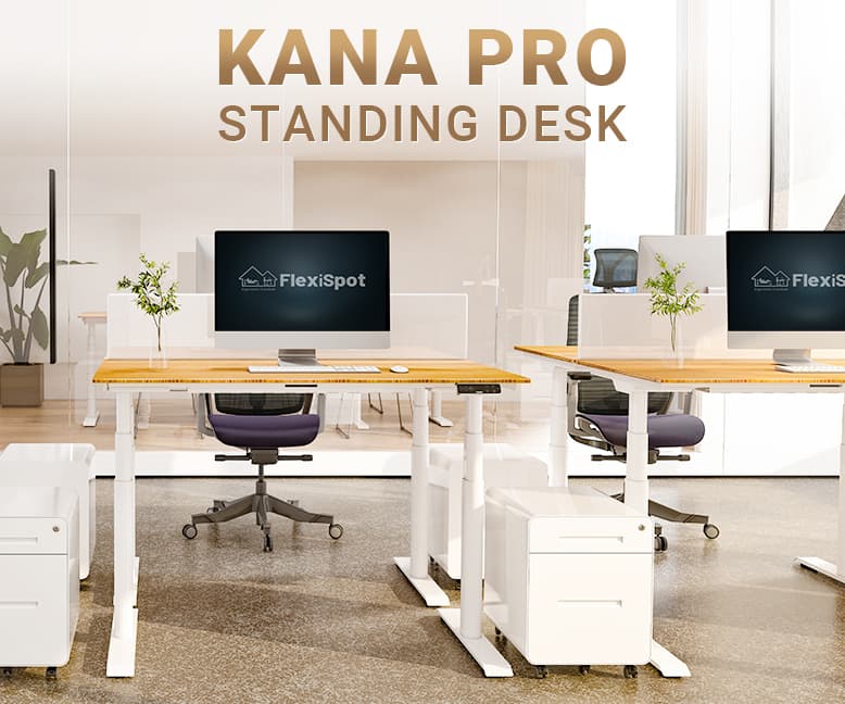 Flexispot Kana Pro Bamboo Standing Desk Review (Mom Gifts -  - Idea)  