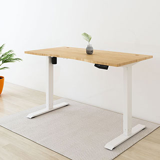 Electric Height Adjustable Standing Desk: Dual Motor