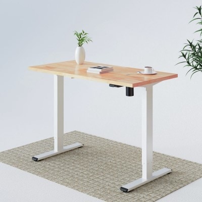 willow solid wood standing desk