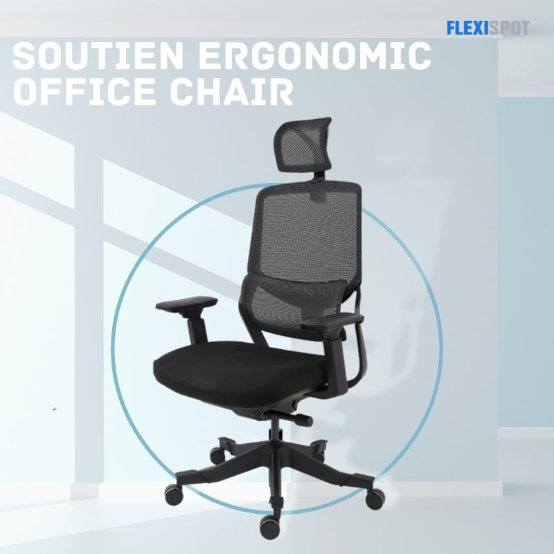Soutien Ergonomic Office chair