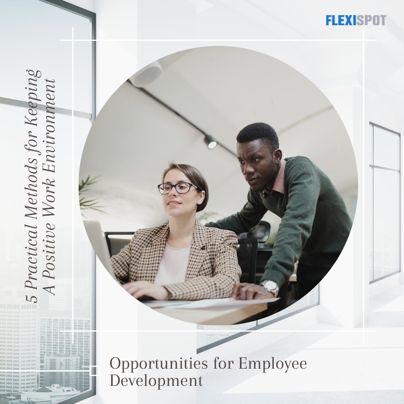 Opportunities for Employee Development