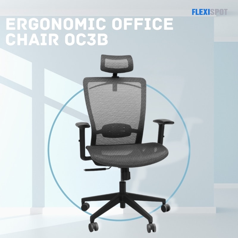 Ergonomic Office Chair OC3B