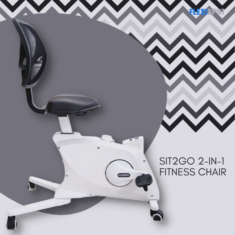 Sit2Go 2-in-1 Fitness Chair 