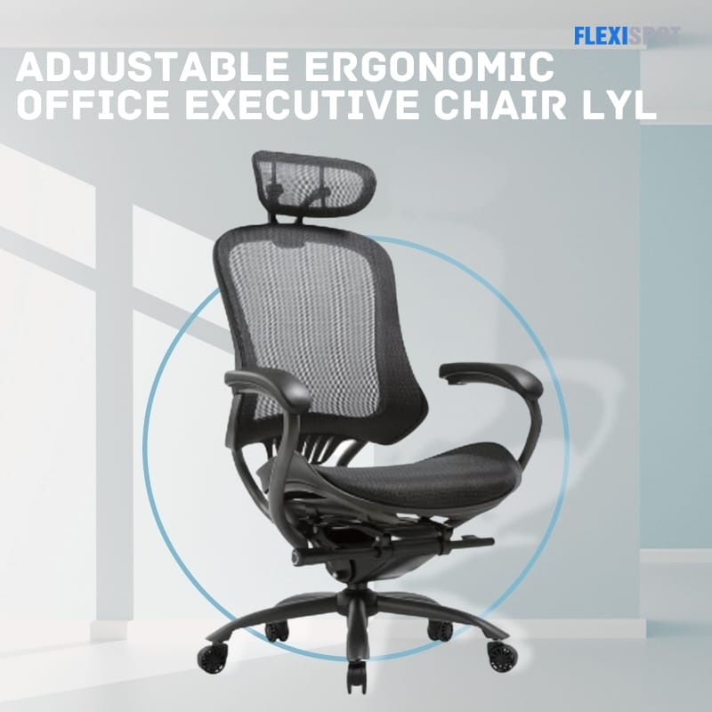 Adjustable Ergonomic office executive chair LYL