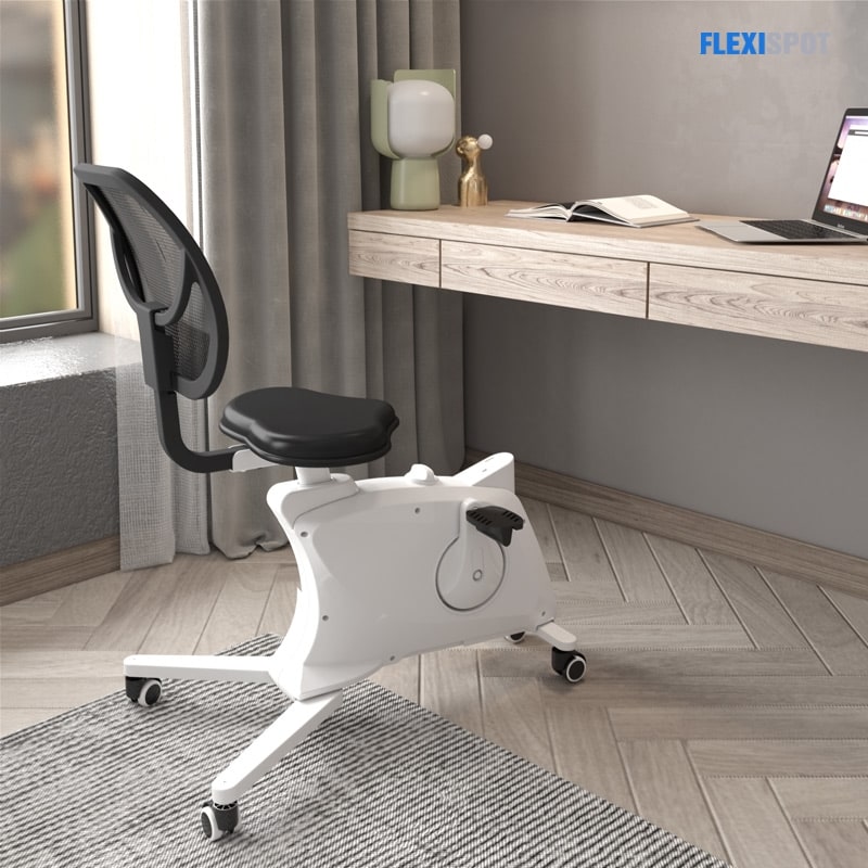 Sit2Go 2-in-1 Fitness Chair