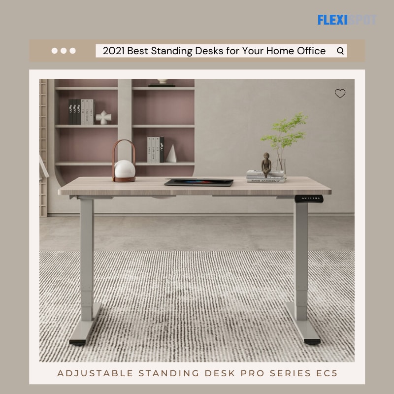 Adjustable standing desk pro series EC5