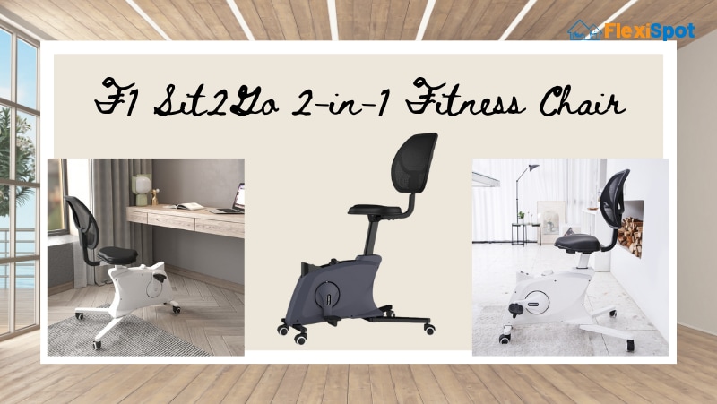 F1 Sit2Go 2-in-1 Fitness Chair