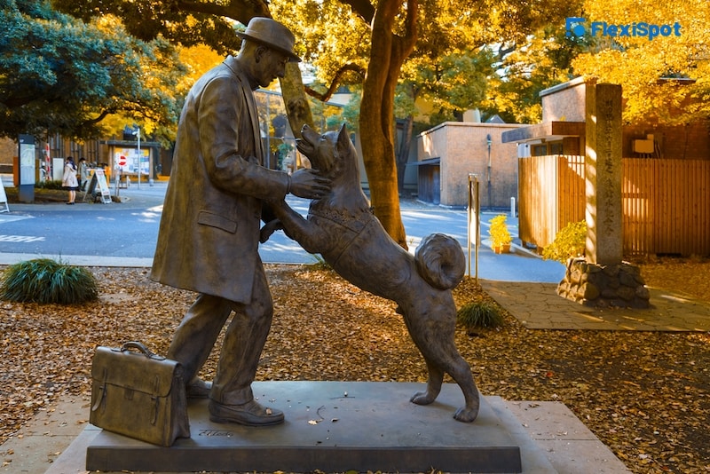 Hachiko