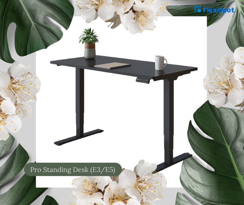 FlexiSpot E3/E5 Standing Desk
