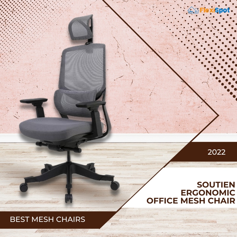Soutien Ergonomic Office Mesh Chair