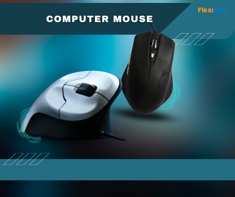 What is a Computer Mouse?