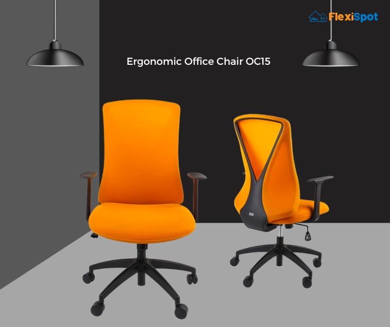 Ergonomic Office Chair OC15