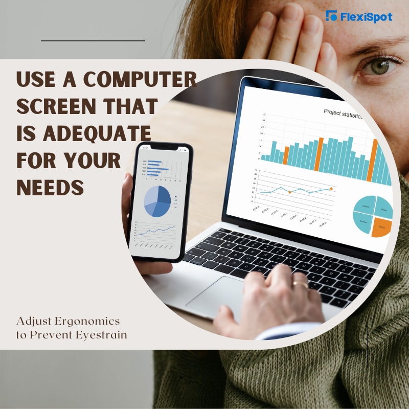 Use A Computer Screen That Is Adequate for Your Needs