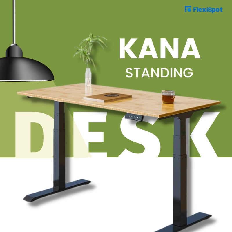 The Kana Standing Desk