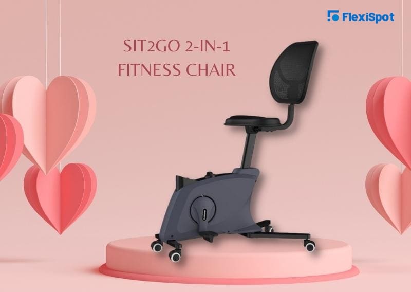 Sit2Go 2-in-1 Fitness Chair