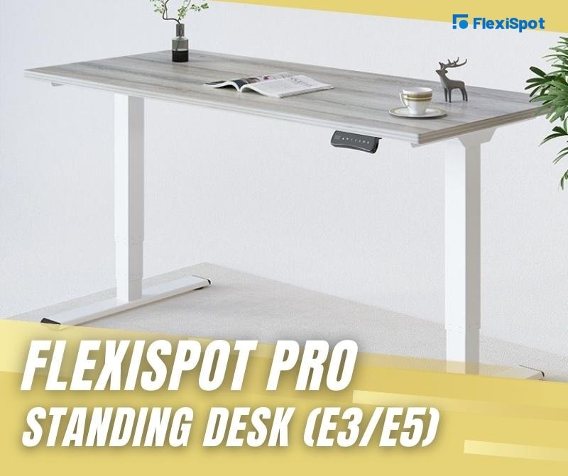 FlexiSpot Pro Standing Desk (E3/E5)