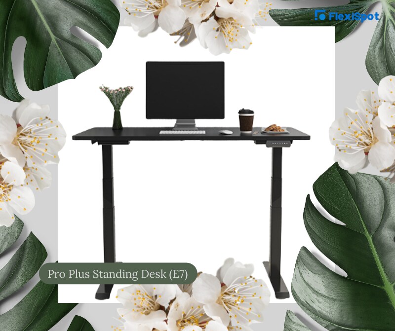 E7 Pro Plus Standing Desk