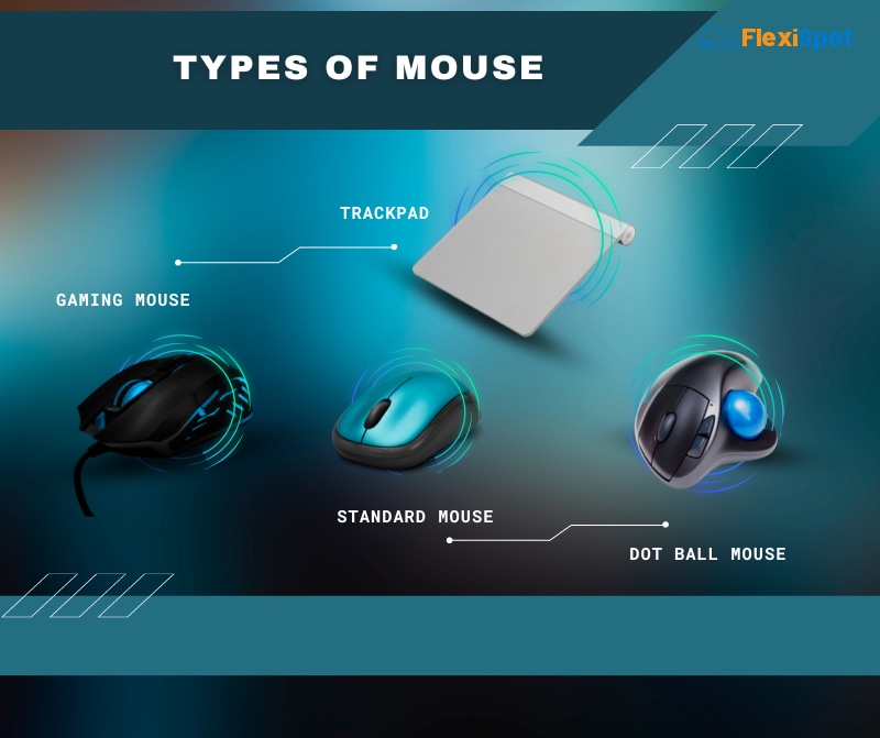 Is There a Tangible Disparity Between these Types of Mouse?