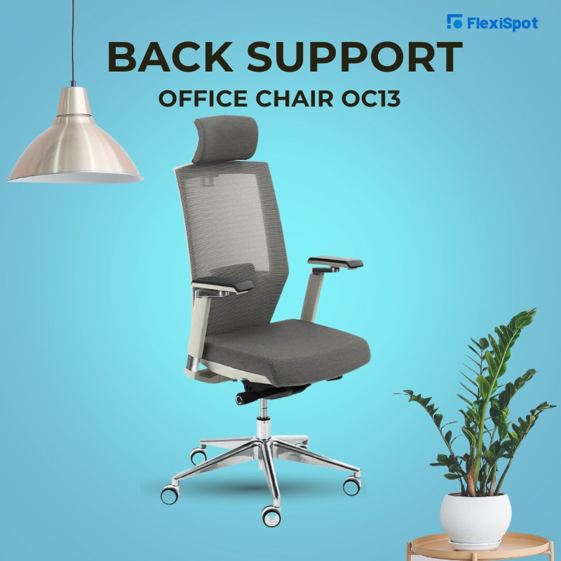2. Back Support Office Chair OC13