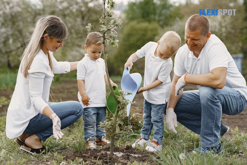 Planting trees makes the soil healthier