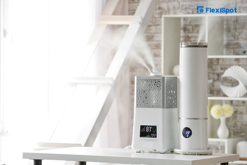 Air Purifiers and Humidifiers