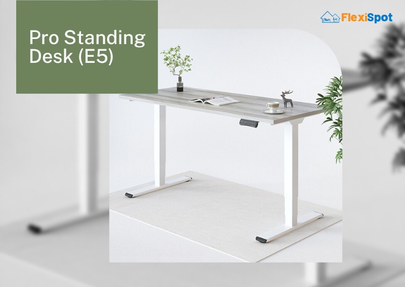 Pro Standing Desk (E5)