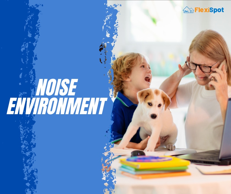 Noise Environment