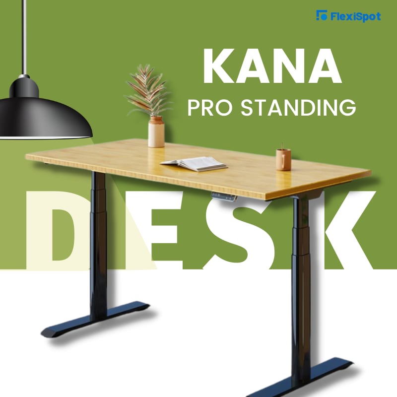 Kana Pro Standing Desk