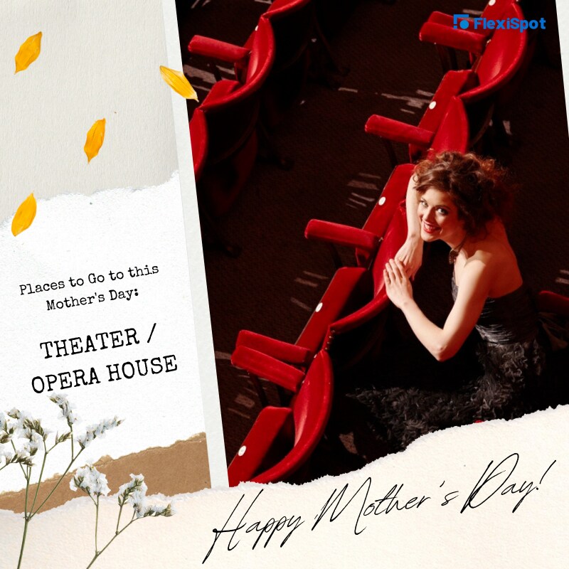 Theater / Opera House