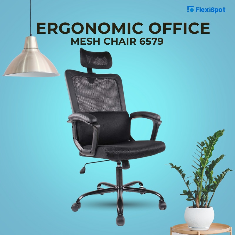 3. Ergonomic Office Mesh Chair 6579