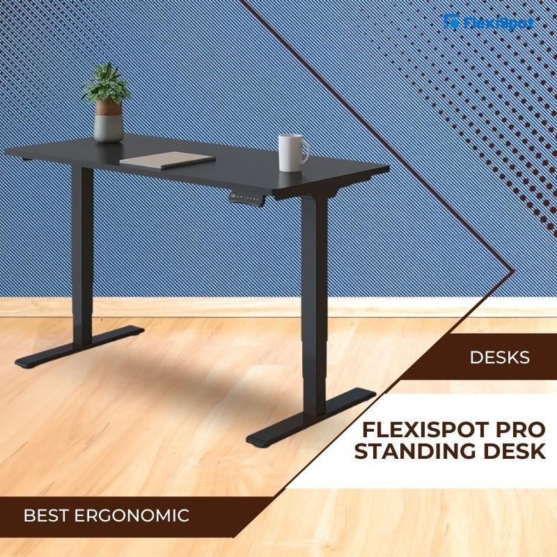 FlexiSpot Pro Standing Desk
