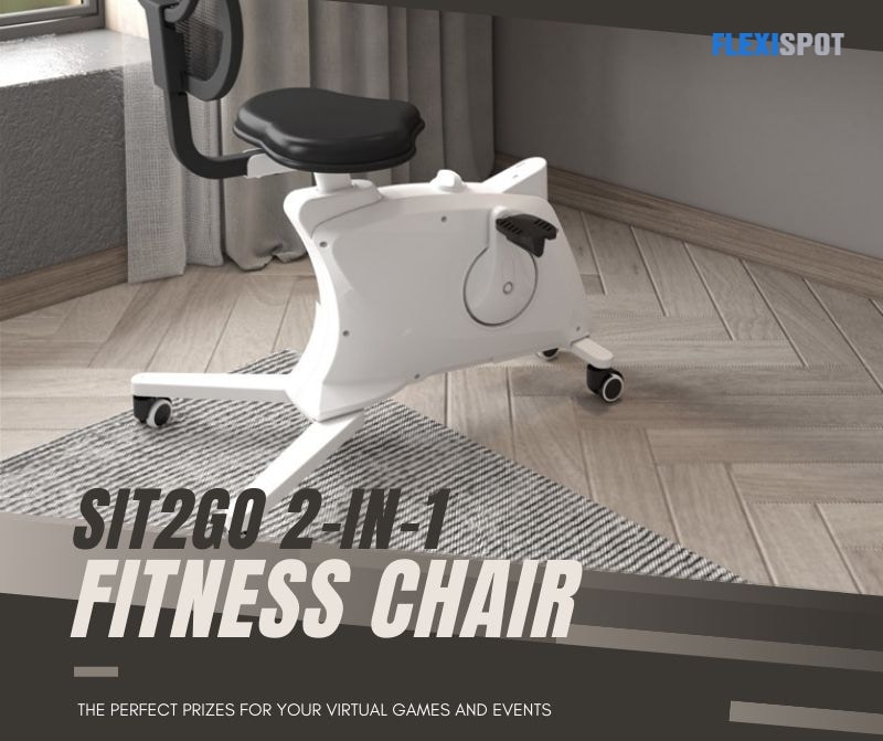 3. Sit2Go 2-in-1 Fitness Chair