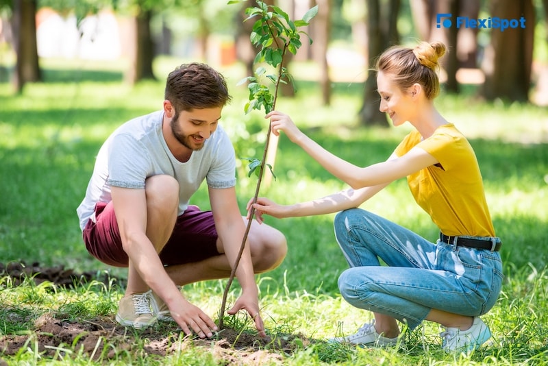 Plant A Tree