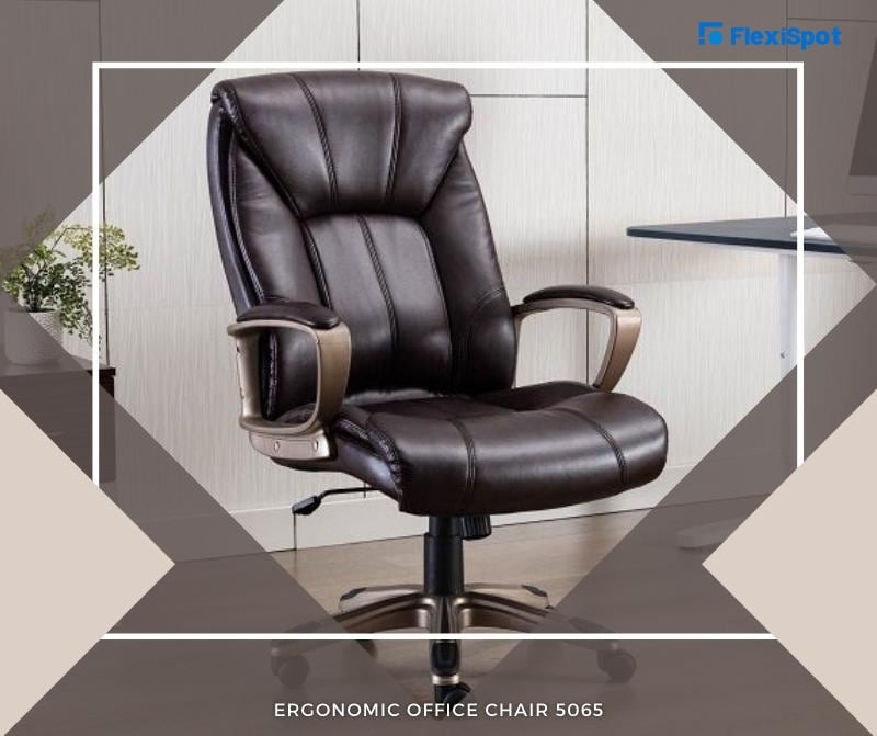 Ergonomic Office Chair 5065