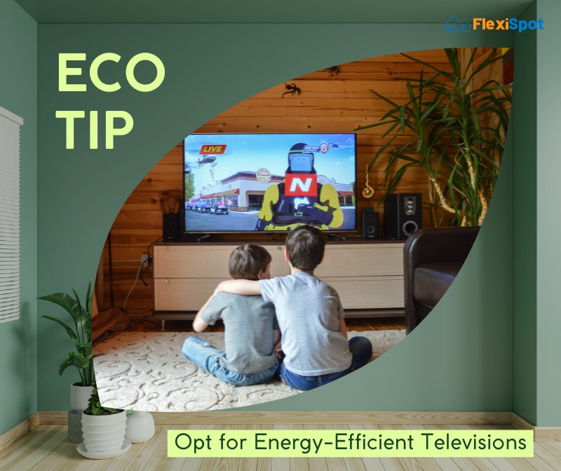 Opt for Energy-Efficient Televisions