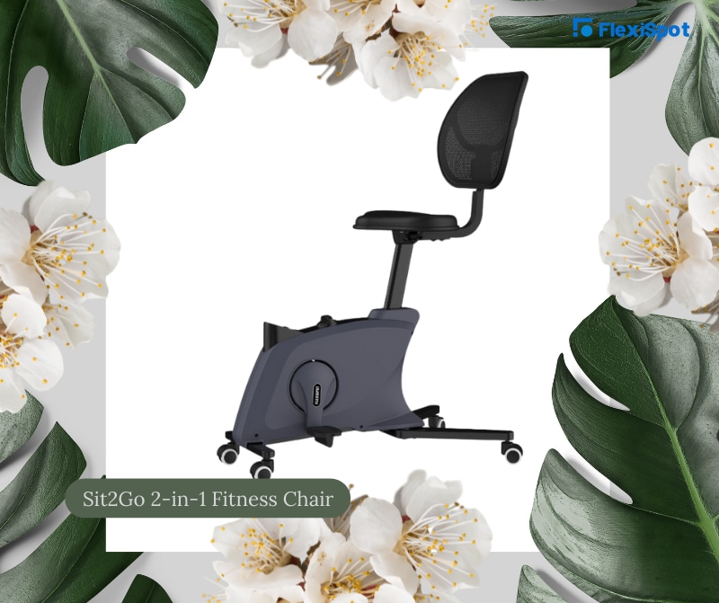FC211 fitness chair