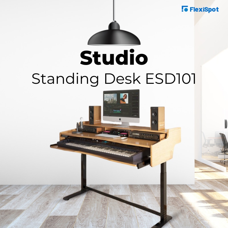 Studio Standing Desk ESD101