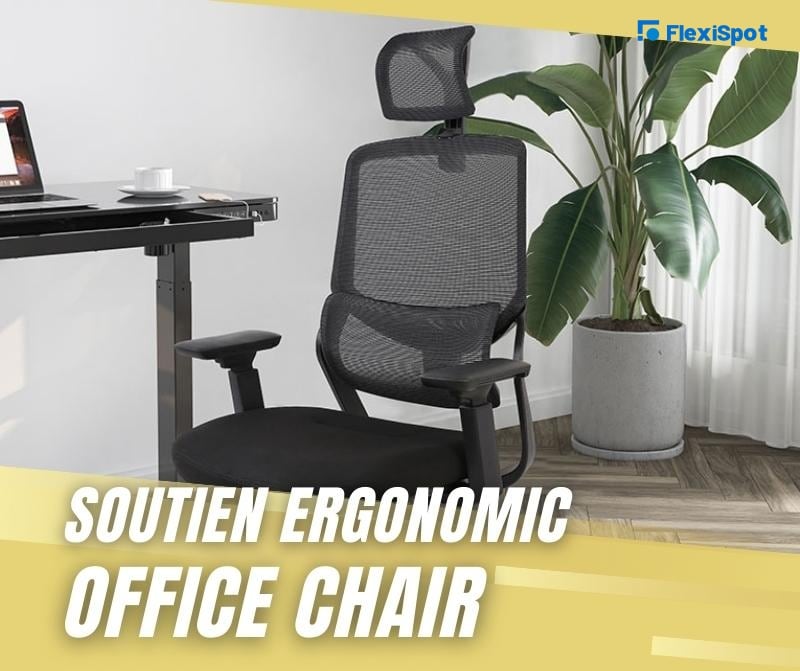 Soutien Ergonomic Office Chair