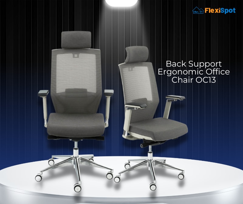 Back Support Chair OC13